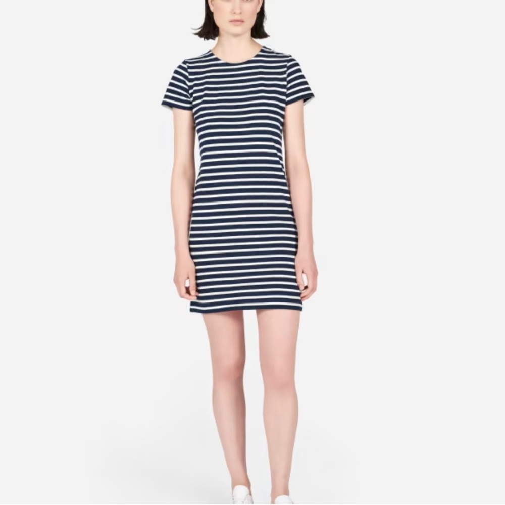 Everlane Gia mini stripped dress